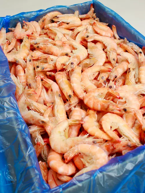 Креветки Королевские с головой 50/70 (Шифудо) 5 кг