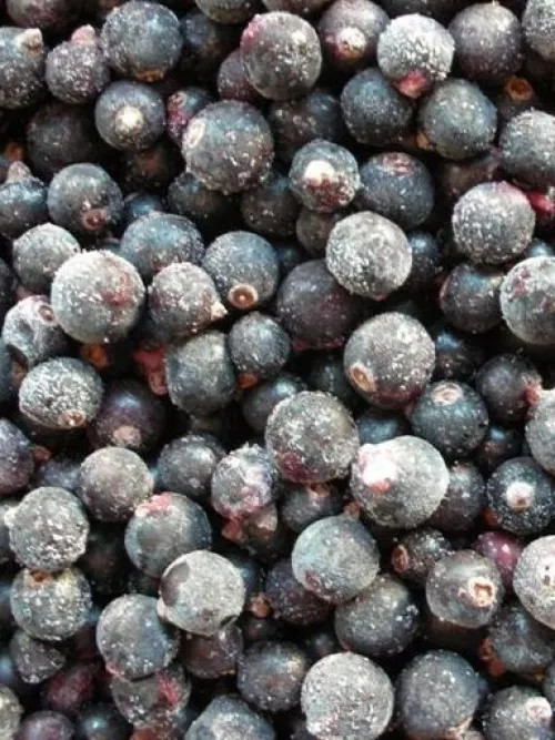 Чёрная смородина свежемороженая, 10кг Турция